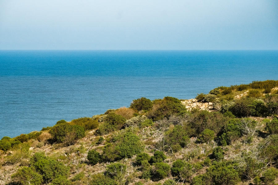 0 Bedroom Property for Sale in Pezula Private Estate Western Cape